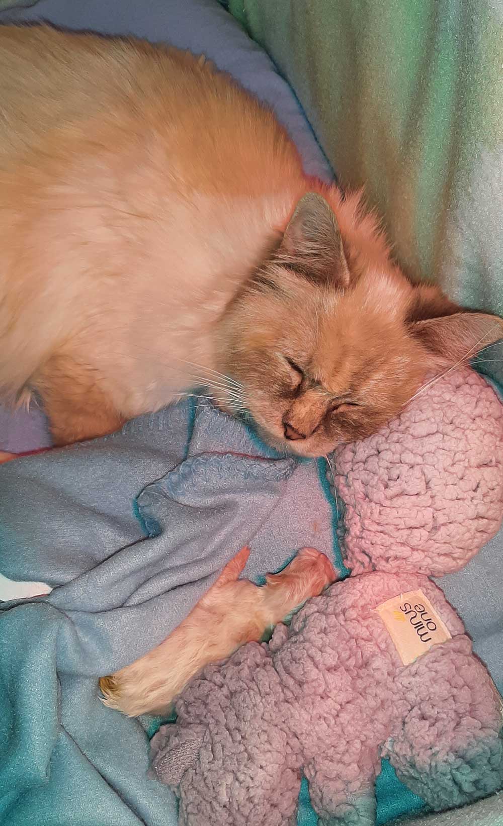 Jamie-und-Baby-Hermine